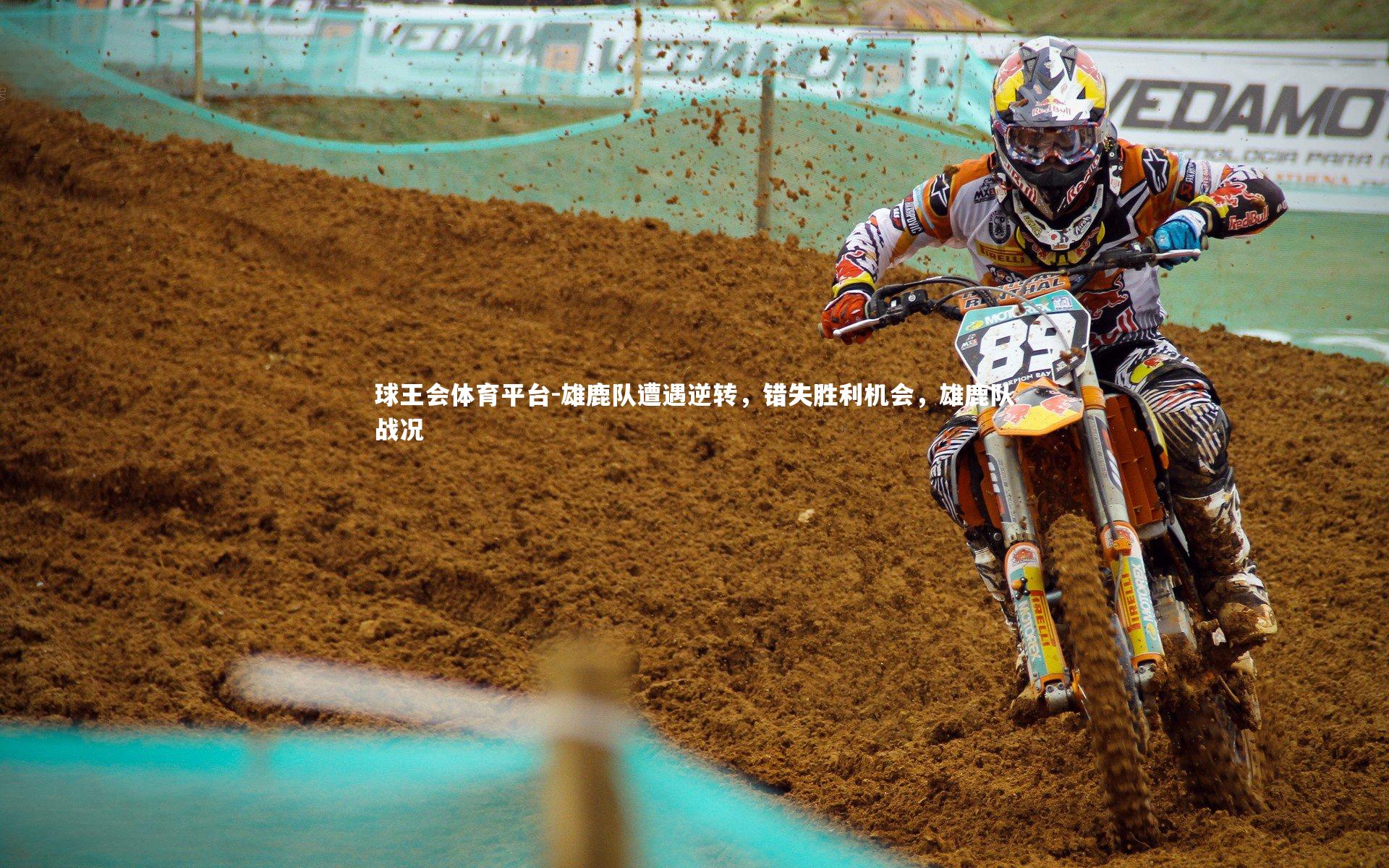 球王会体育平台-雄鹿队遭遇逆转，错失胜利机会，雄鹿队战况