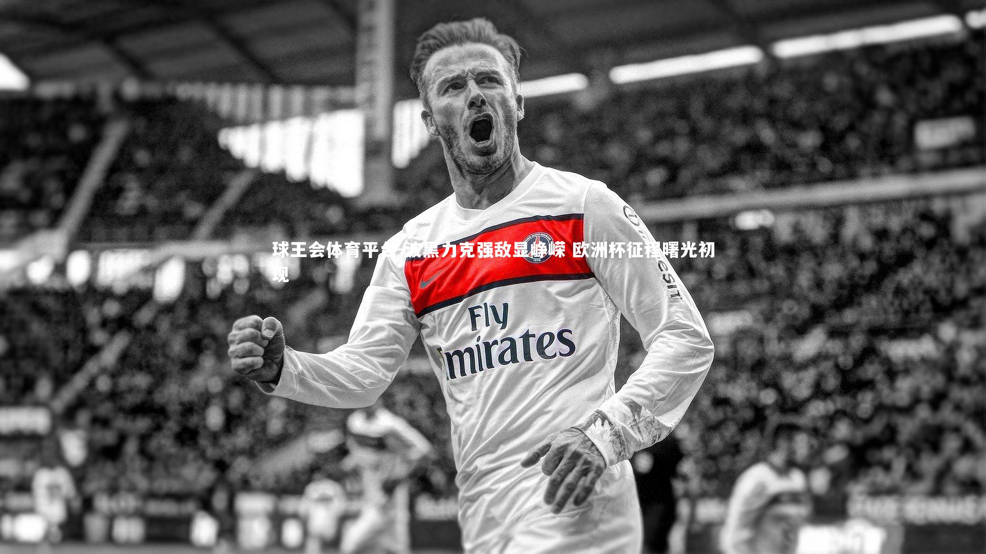 波黑力克强敌显峥嵘 欧洲杯征程曙光初现